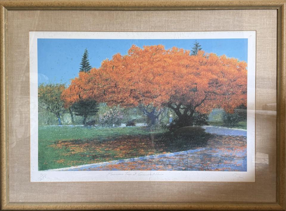 Carol Owen — Poinciana Trees at Government House, Signed Limited Edition Print