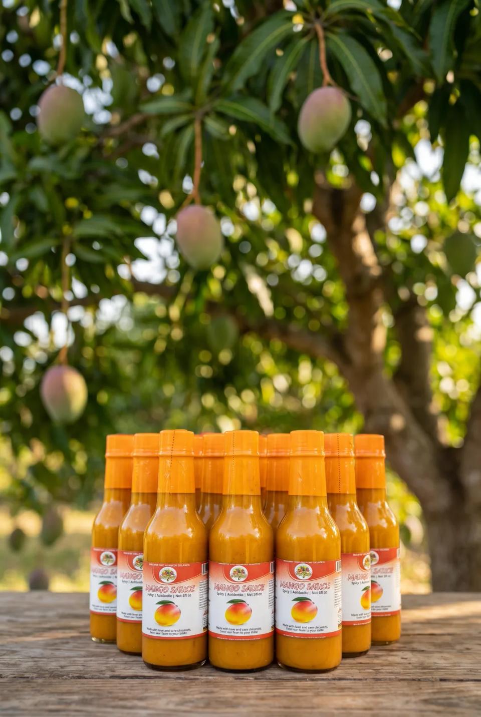 Bonafide Farmer Jerk Sauce - 10 Flavors